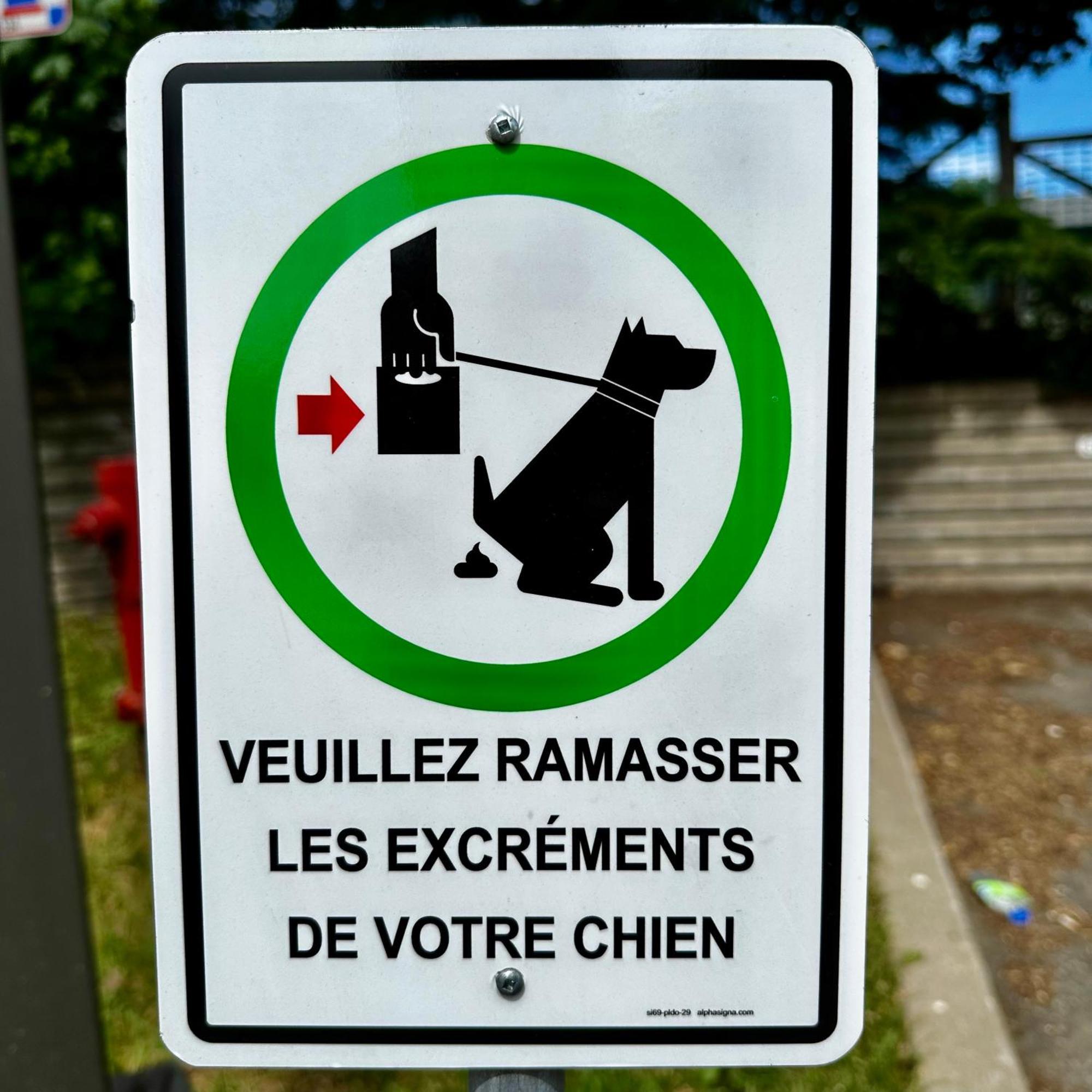 Initial - Moose - Chutes-Montmorency Saint-Jean-de-Boischâtel Dış mekan fotoğraf